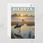 ストークinビエブルザ国立公園ポーランドトラベル ポストカード (正面/裏面)