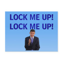 ストージュ・ミケロシアの・フリン