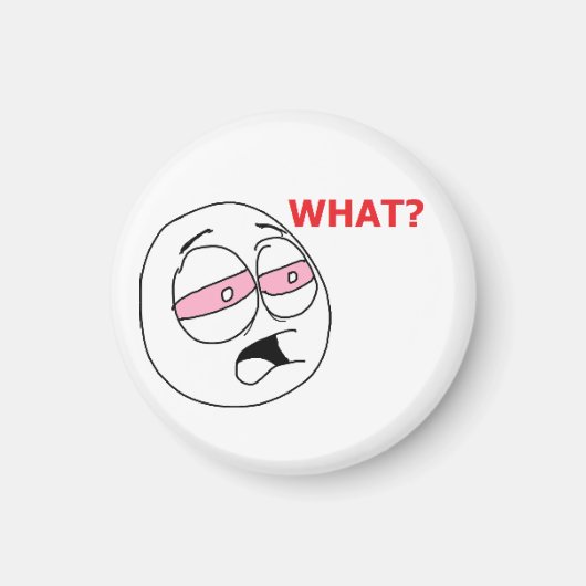 ストーナーズ顔磁石 マグネット (正面)