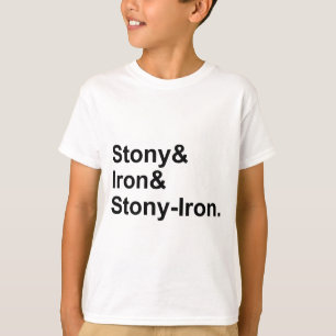 ストーニー&アイアン&ストーニー – アイアン 隕石の種類 Tシャツ