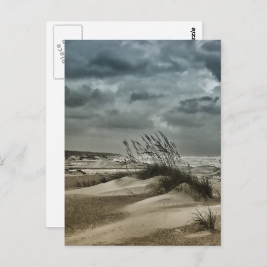 ストーミーアナスタシア ポストカード (正面/裏面)