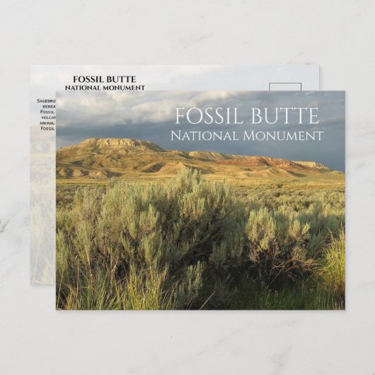 ストーミースカイ化石バター国定記念物ワイオミング ポストカード (正面/裏面)