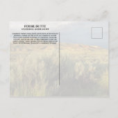 ストーミースカイ化石バター国定記念物ワイオミング ポストカード (裏面)