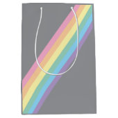 ストーミースカイ&レインボー抱き枕 ミディアムペーパーバッグ (正面)