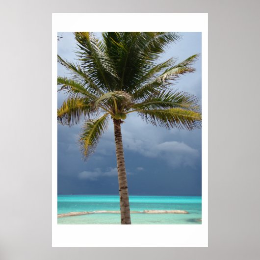 ストーミーパラダイス ポスター (正面)