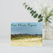 ストーミービーチアットケープ・チャールズ，バージニア ポストカード (スタンド正面)