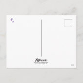 ストーミー日/はがき シーズンポストカード (裏面)