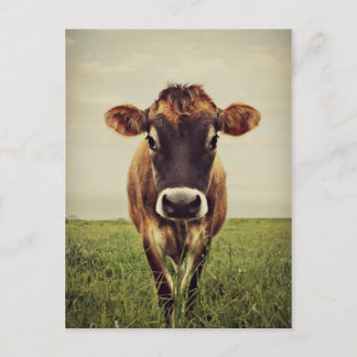 ストーミー ポストカード