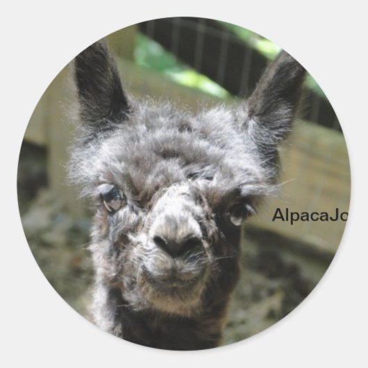 ストーミー ラウンドシール (正面)