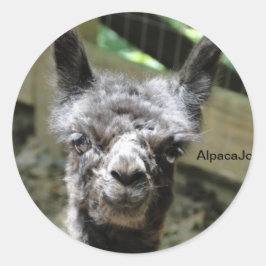 ストーミー ラウンドシール