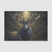 ストームクラウンの切り離 薄葉紙 (正面)