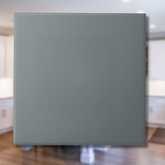 ストームグレー無地のカラー |クラシックエレガント タイル