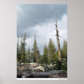 ストームスパイア ポスター