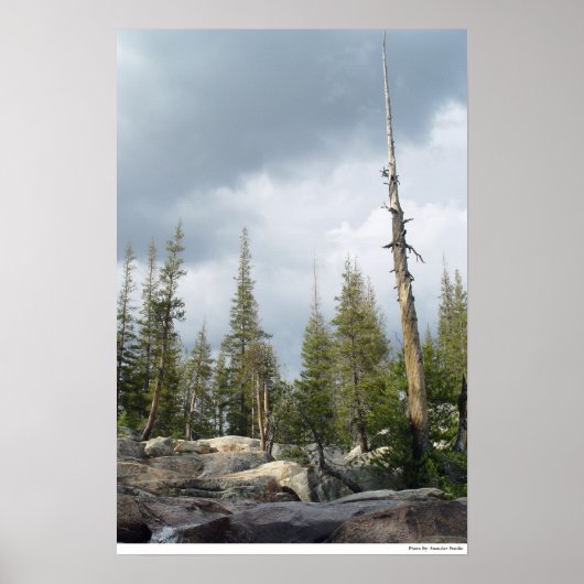 ストームスパイア ポスター (正面)