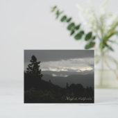 ストームデー… ポストカード (スタンド正面)