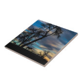 ストームホースアートタイルのブレイク タイル (側面)