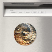 ストーム熱狂する...... マグネット (インサイチュ (食洗機))