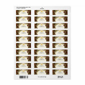 ストーリーブックプリンセスヴィンテージブライアルバラ招待状 ラベル (フルシート)