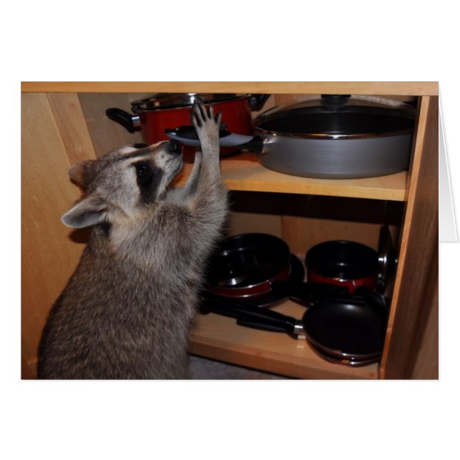 ストール鍋カード (正面横)