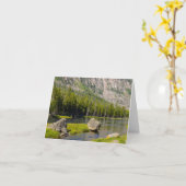 ストーンアットマディソンリバーグリーティングカード カード (黄色い花)