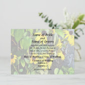 ストーンウォールそばのブラックアイードスーザン 招待状 (スタンド正面)