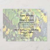 ストーンウォールそばのブラックアイードスーザン 招待状 (正面/裏面)