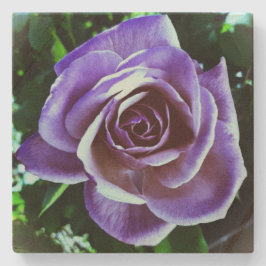 ストーンコースターアートデザインスタイル ストーンコースター