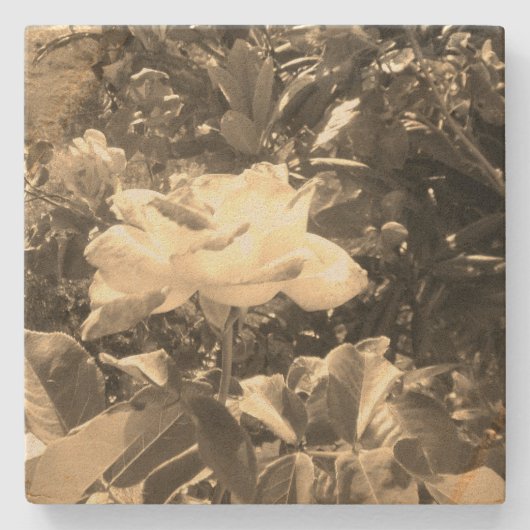 ストーンコースターアートデザインスタイル ストーンコースター (正面)