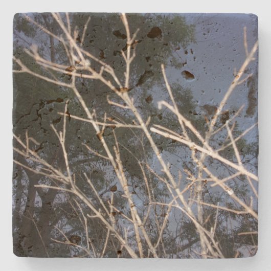 ストーンコースタークールエコスタイルデザイン ストーンコースター (正面)