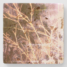 ストーンコースタークールエコスタイルデザイン ストーンコースター