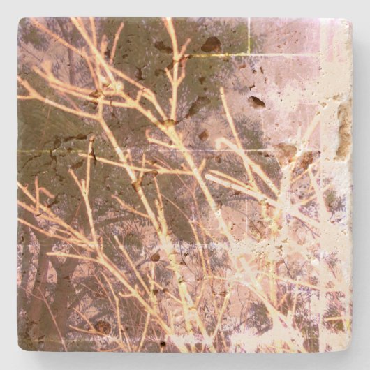 ストーンコースタークールエコスタイルデザイン ストーンコースター (正面)