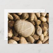 ストーンズはがき ポストカード (正面/裏面)