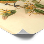 ストーンズキャットバードグリーンイエローヴィンテージバードプリント ポスター (角)