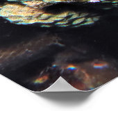 ストーンフィッシュ ポスター (角)