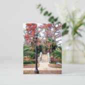 ストーンブリッジシティパークニューオーリンズ ポストカード (スタンド正面)