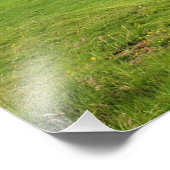 ストーンヘンジ瞑想 フォトプリント            (角)