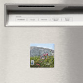 ストーンマウンテンジョージア マグネット (インサイチュ (食洗機))