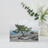 ストーンマウンテンツリーストーンマウンテンジョージア2 ポストカード (スタンド正面)