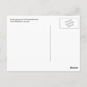 ストーンマウンテンツリーストーンマウンテンジョージア2 ポストカード (裏面)