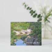 ストーンマウンテンパーククリークストーンマウンテンGA 3 ポストカード (スタンド正面)