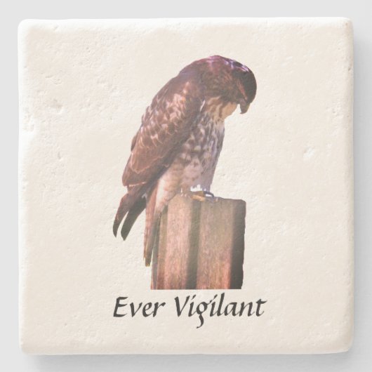 ストーン コースター - ハヤブサ - Ever Vigilant (正面)