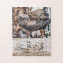 スナグルが実在親の子ザルを抱きしめる