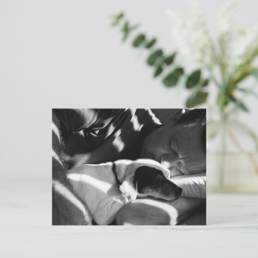 スナグル ポストカード (スタンド正面)