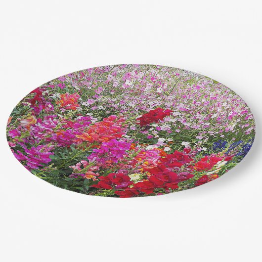 スナッカラフルドラゴンガーデンフローラ ペーパープレート (アングル)