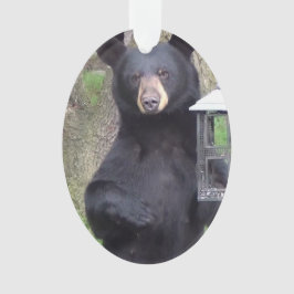 スナックを楽しむ美しい黒熊 オーナメント
