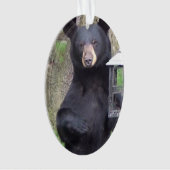 スナックを楽しむ美しい黒熊 オーナメント (正面)