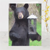 スナックを楽しむ美しい黒熊 カード (黄色い花)