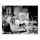 スナックタイマー ラバースタンプ (インプリント)