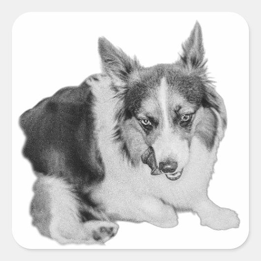 スナックパトロール スクエアシール (正面)