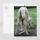 スナック子馬 ポストカード (正面/裏面)